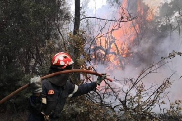 Πύρινα μέτωπα σε Θήβα, Αρκαδία, Αργολίδα, Αχαΐα και Κεφαλονιά – Υπό έλεγχο η Σαρωνίδα και Κόρινθο