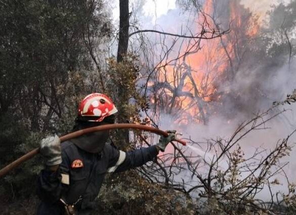 Πύρινα μέτωπα σε Θήβα, Αρκαδία, Αργολίδα, Αχαΐα και Κεφαλονιά – Υπό έλεγχο η Σαρωνίδα και Κόρινθο