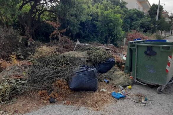 Πάτρα: “Βουνά” τα σκουπίδια και τα ξερά κλαδιά – Φοβούνται οι περίοικοι για εκδήλωση φωτιάς
