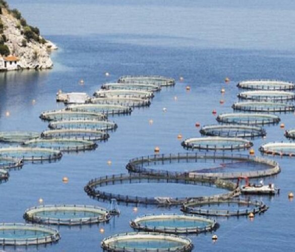 ΕΠΑλΘ: Αποζημιώσεις σε αλιεία και υδατοκαλλιέργεια