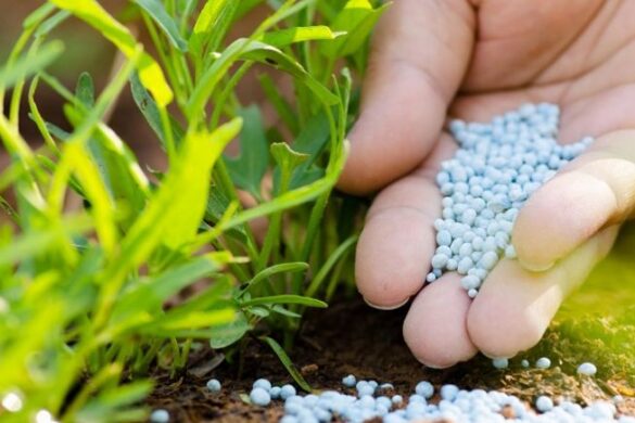 ΕΕ: Εγκαίνια για το Ευρωπαϊκό Συμβούλιο για τη γεωργία και τα τρόφιμα