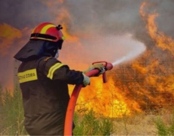 Ηλεία: Μεγάλη φωτιά τη νύχτα με τέσσερις εστίες στην Ανάληψη