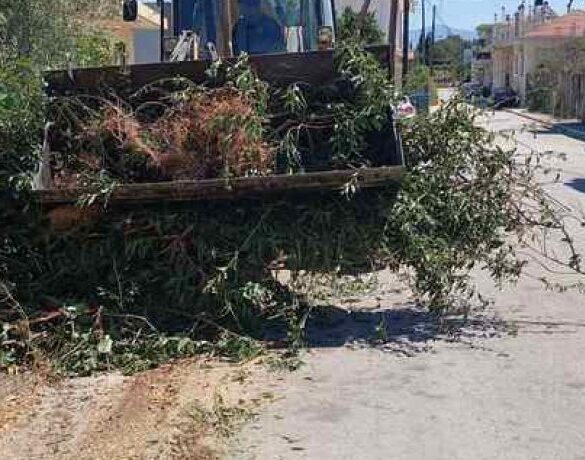 Δυτική Αχαΐα: Συνεχίζονται οι καθαρισμοί της βλάστησης στο οδικό δίκτυο