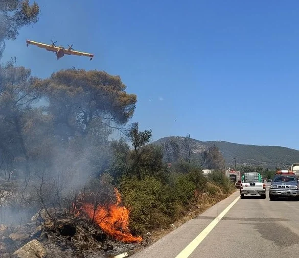 «Δύσκολη» η φωτιά στο Σοφικό Κορινθίας – Ενισχύθηκαν οι δυνάμεις από γη και αέρα