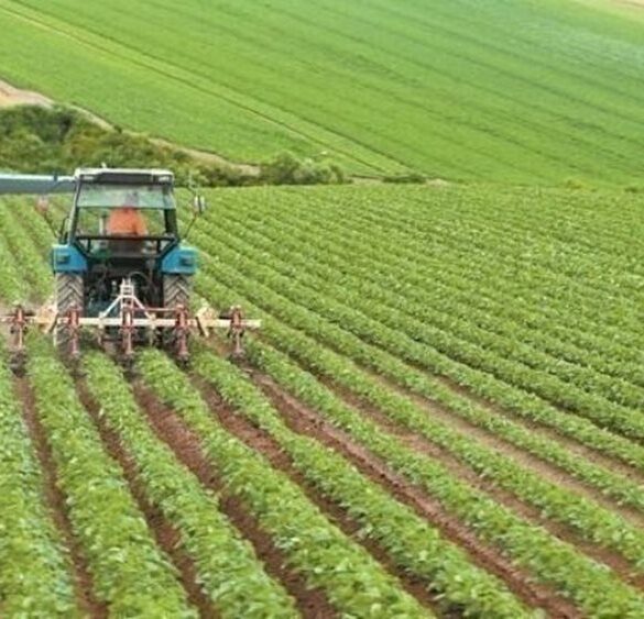 Έρχονται πληρωμές 700 εκατ. ευρώ στους αγρότες μέχρι το Πάσχα
