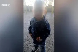 Θάνατος 3χρονου στην Αχαΐα: Ο θείος του ομολόγησε ότι έπεσαν με γουρούνα