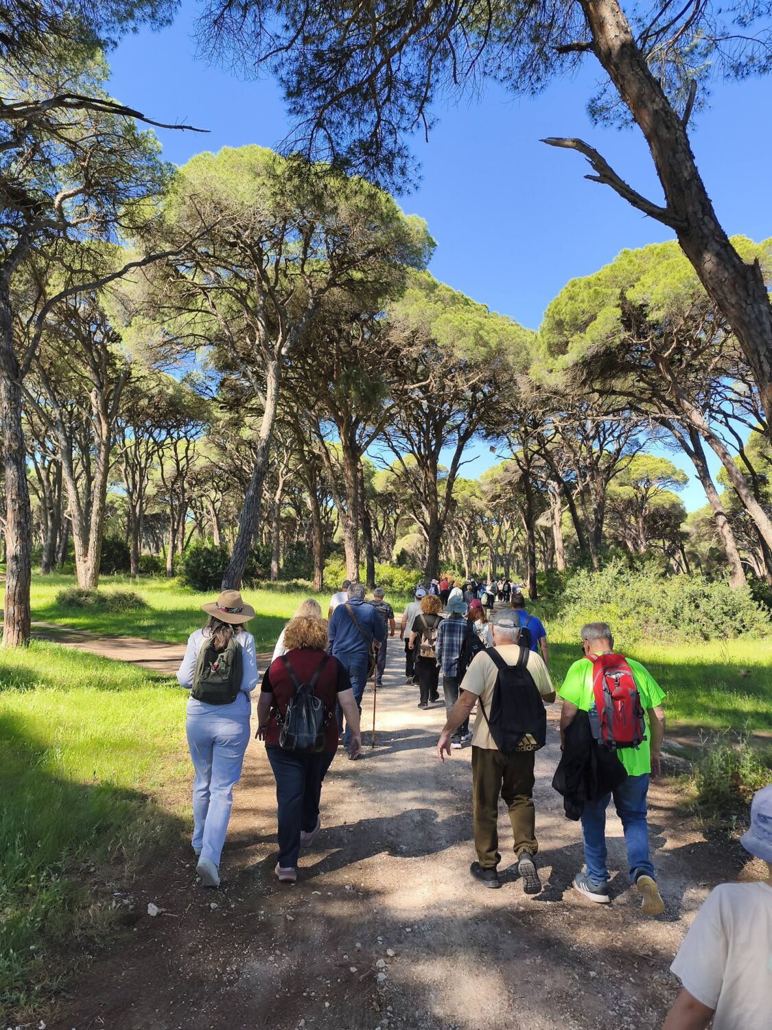 7feefd18 e5b2 4083 a678 ea60006b2b0b