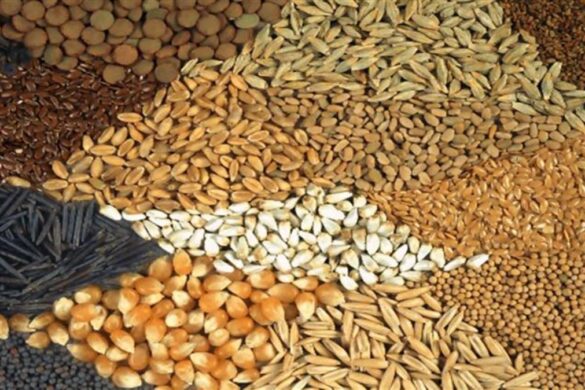 Πρόσθετα ζωοτροφών: Νέα οδηγία για την ανανέωση της άδειας