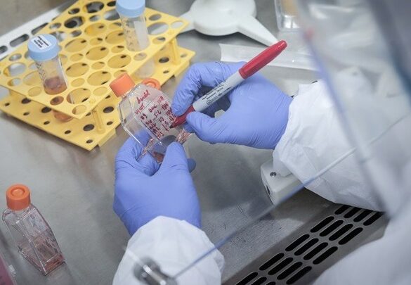 Έρευνα: Η επίκληση στην ηθική μετριάζει την επίπτωση των συνωμοσιολογικών θεωριών για την Covid-19