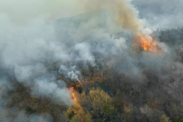 To φαινόμενο El Niño ξεκίνησε και επίσημα – Τι σημαίνει αυτό για τον πλανήτη