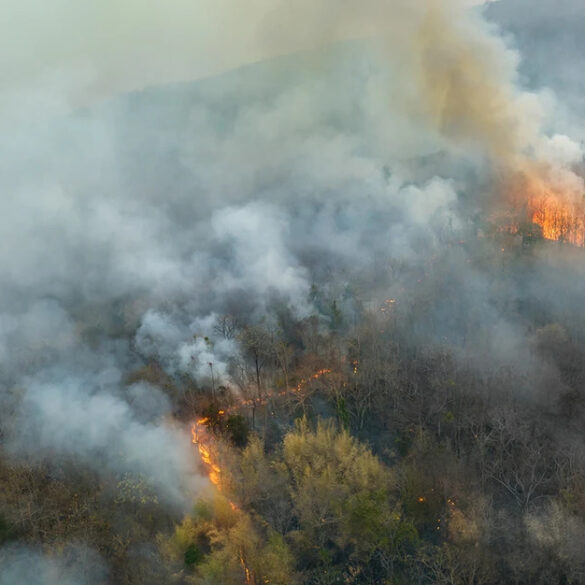 Το Ελ Νίνιο θα συνεχίσει να ενισχύεται έως την κορύφωσή του τον Δεκέμβριο