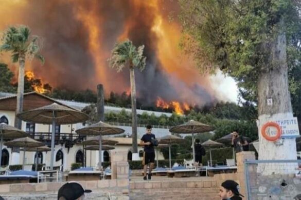 Κυβερνητικό κλιμάκιο υπό τον Στ. Πέτσα αύριο στην Πάτρα για αποτίμηση των καταστροφών από την πυρκαγιά στην Αιγιάλεια