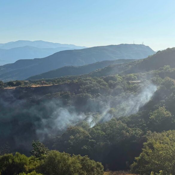 Φωτιά στην Αχαΐα: Καλύτερη η εικόνα στο πύρινο μέτωπο του Φλόκα