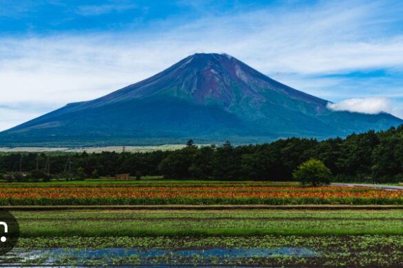 Ιαπωνία: Ρεκορ 130ετων χωρίς χιόνι το εμβληματικό όρος Φούτζι