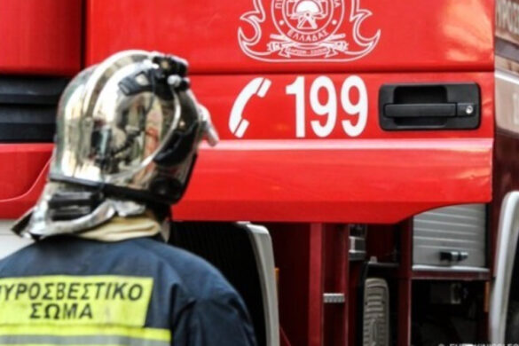 Αιγιάλεια: Ζευγάρι χάθηκε στο δάσος