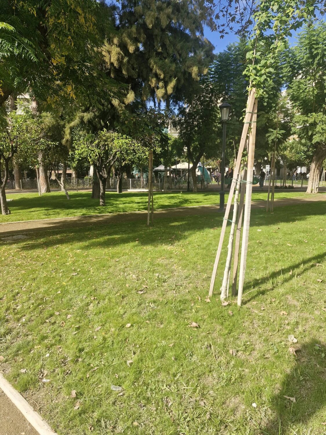 PLATEIA OLGAS 7