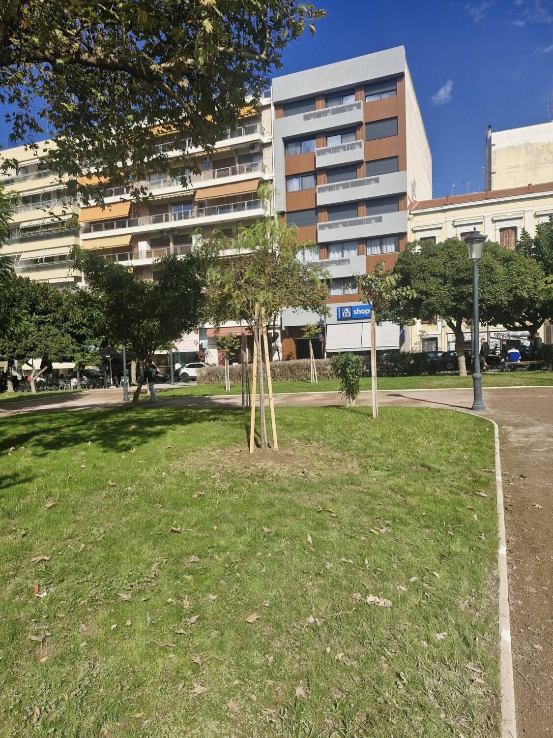 PLATEIA OLGAS 8