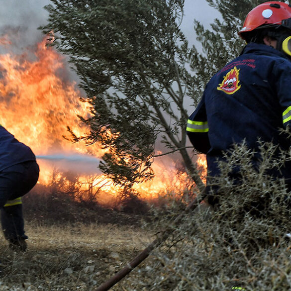 Κοινοτοπία: Θωρακίζουμε τους εθελοντές δασοπυροσβέστες και στηρίζουμε τους πληγέντες της Αχαϊας