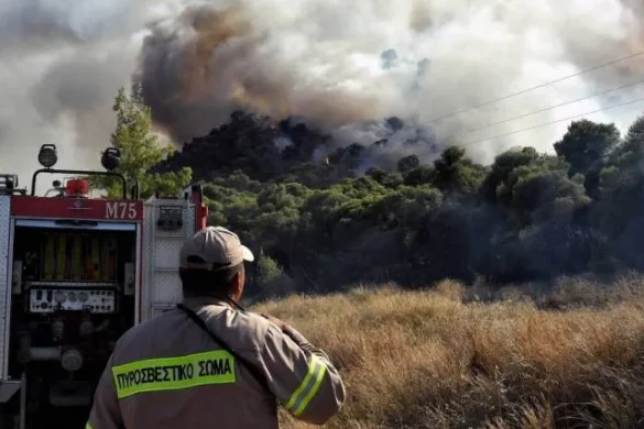 Αχαΐα – Ηλεία: Υψηλός ο κίνδυνος πυρκαγιάς την Τετάρτη
