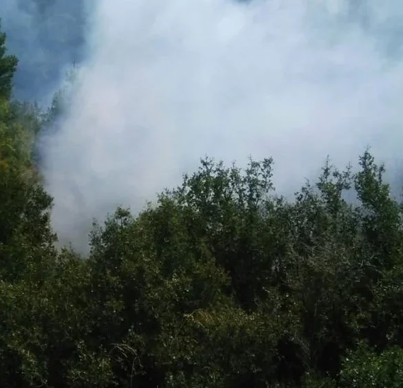 Ακράτα: Μεγάλη φωτιά στην Άνω Ποροβίτσα