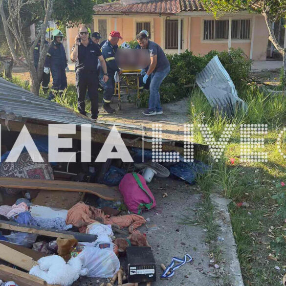 Δυτική Ελλάδα: Οδηγός δέχθηκε τσίμπημα από έντομο και προκάλεσε τροχαίο