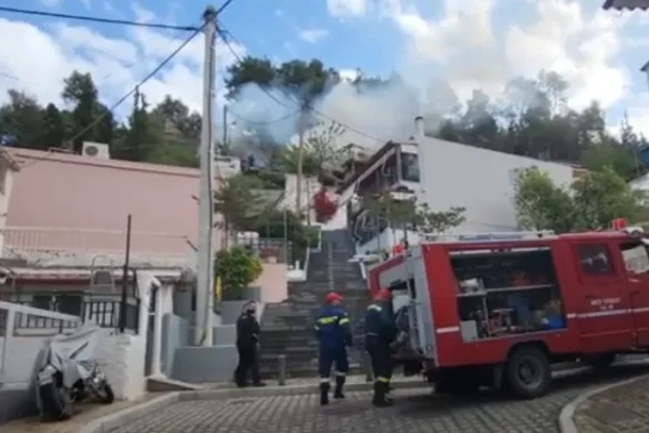 Πάτρα: Συναγερμός για πυρκαγιά στο Δασύλλιο