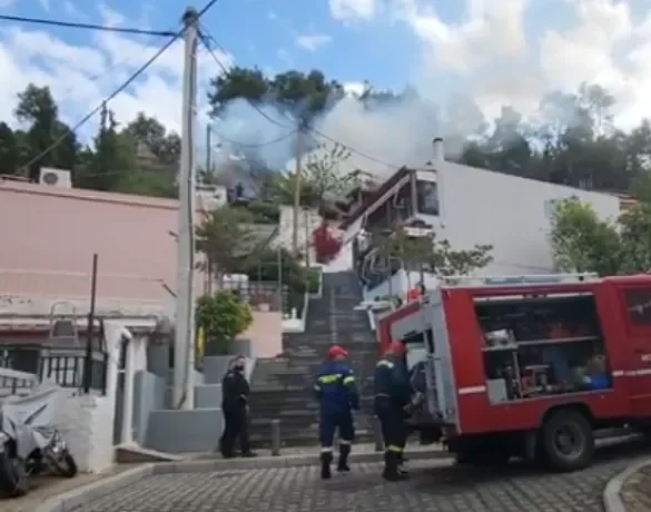 Πάτρα: Συναγερμός για πυρκαγιά στο Δασύλλιο