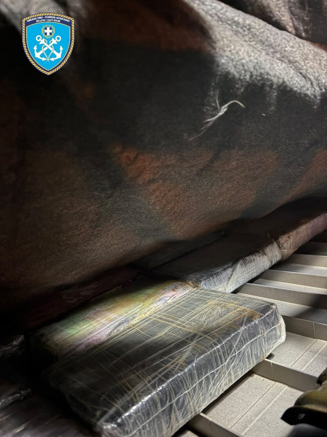 WhatsApp Image 2026 01 24 at 08.07.04 1.width 1600