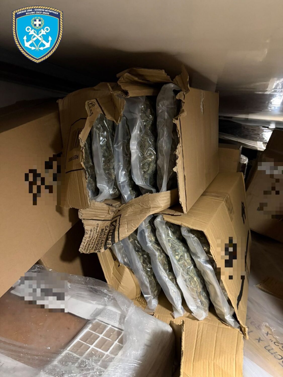 WhatsApp Image 2026 01 24 at 08.07.05 2.width 1600