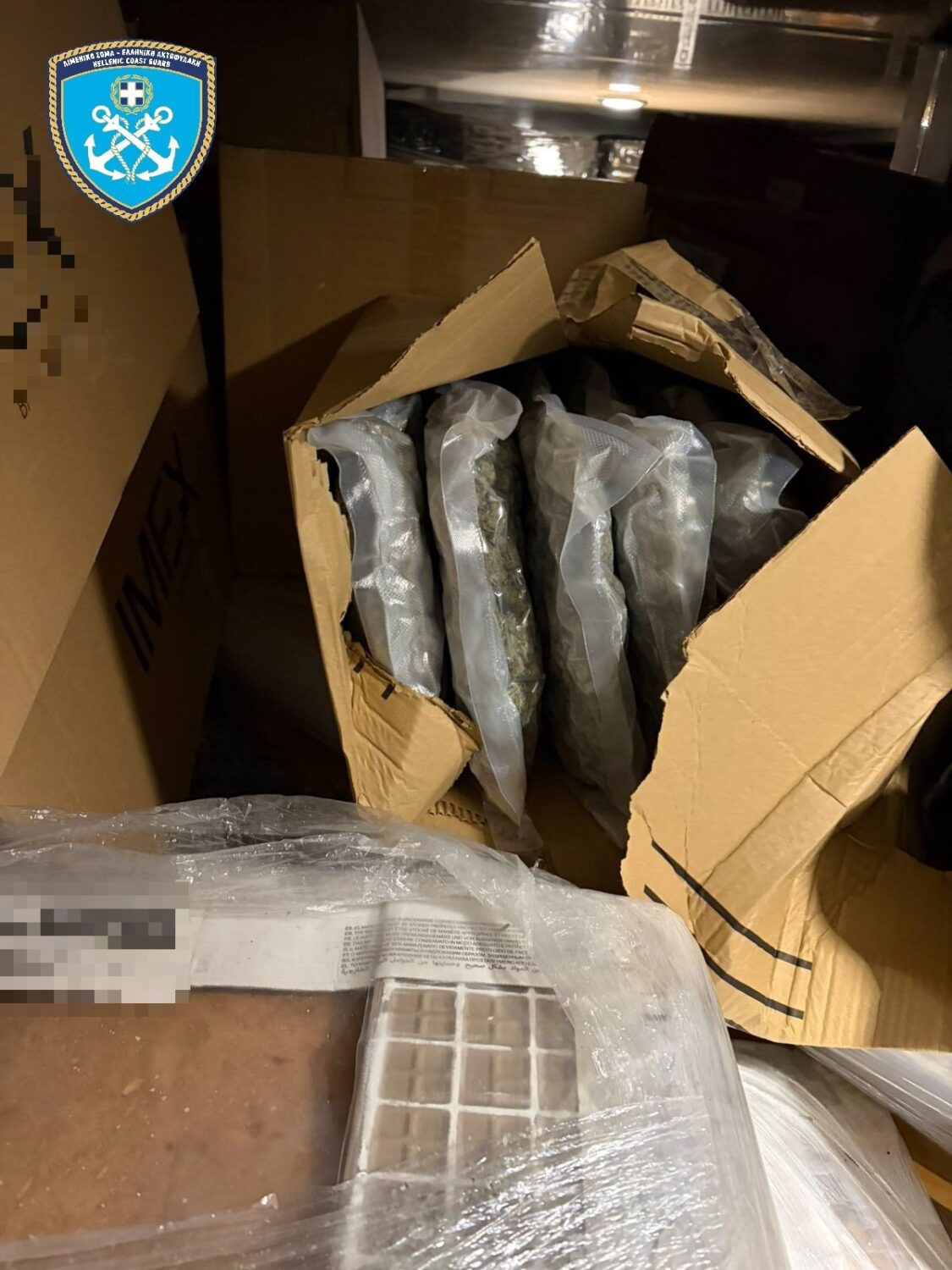 WhatsApp Image 2026 01 24 at 08.07.06 6.width 1600