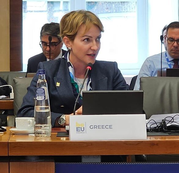 Αλ. Σδούκου: Κοινό ευρωπαϊκό αγαθό τα ηλεκτρικά δίκτυα