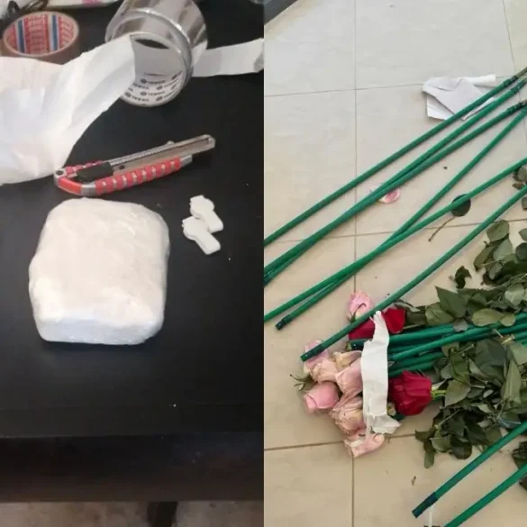 Κοκαΐνη 84 κιλών σε φορτίο με… τριαντάφυλλα!
