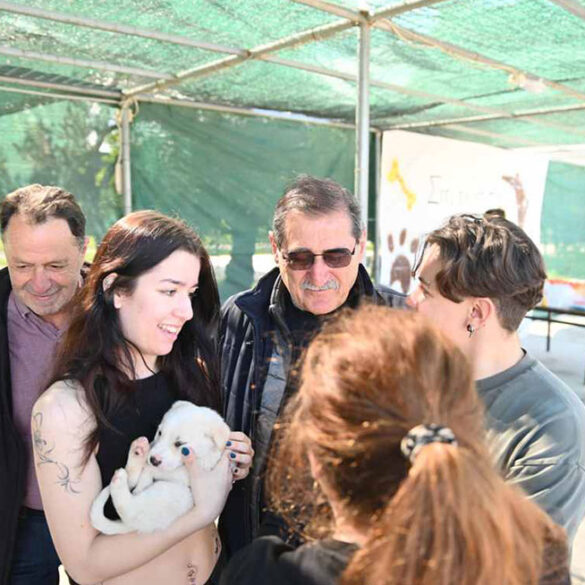 Πλήθος κόσμου για τα αδεσποτάκια στην Πλαζ της Πάτρας – ΦΩΤΟ