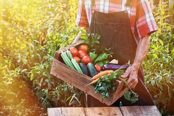 EFSA: Υπάρχουν υπολείμματα φυτοφαρμάκων στα τρόφιμα; – Ποια προϊόντα ελέγχονται