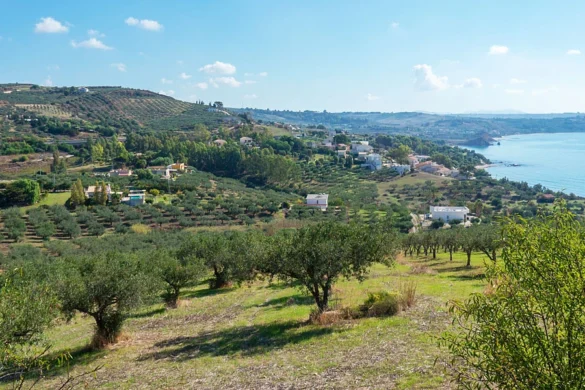Τι συμβαίνει με το ελαιοκομικό μητρώο, τι θα ισχύσει με τα πρόστιμα