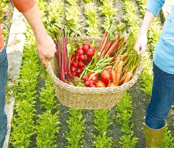Βουλή: Ψηφίστηκε το νομοσχέδιο για τα αγροτικά προϊόντα ΠΟΠ, ΠΓΕ και ΕΠΙΠ