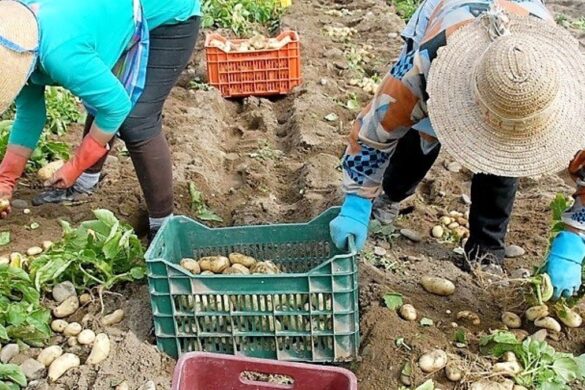 Greekfarms.gov.gr: Ένα παράθυρο σε όλο τον κόσμο για τα ελληνικά αγροδιατροφικά προϊόντα