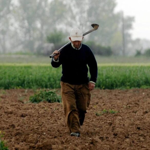 ΦΕΚ: Έως 40.000 η ενίσχυση στους νέους αγρότες