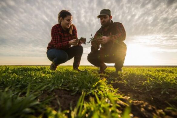 Ξεκίνησε η υποβολή φορολογικών δηλώσεων,προθεσμίες και έκπτωση για εφάπαξ πληρωμή