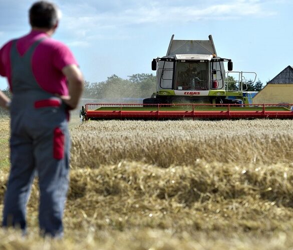 ΠΑΑ: Τα διαθέσιμα χρηματοδοτικά εργαλεία – Οι τελικοί αποδέκτες
