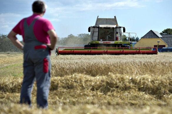 ΔΑΠΕΕΠ: Πότε υποβάλλεται αίτηση για τη διατήρηση της ιδιότητας του κατ’ επάγγελμα αγρότη