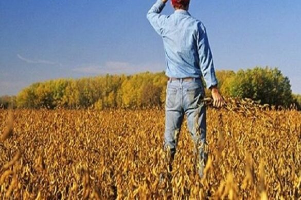 Βουλή: Κατατέθηκε το νομοσχέδιο για τον ΕΛΓΟ – Δήμητρα