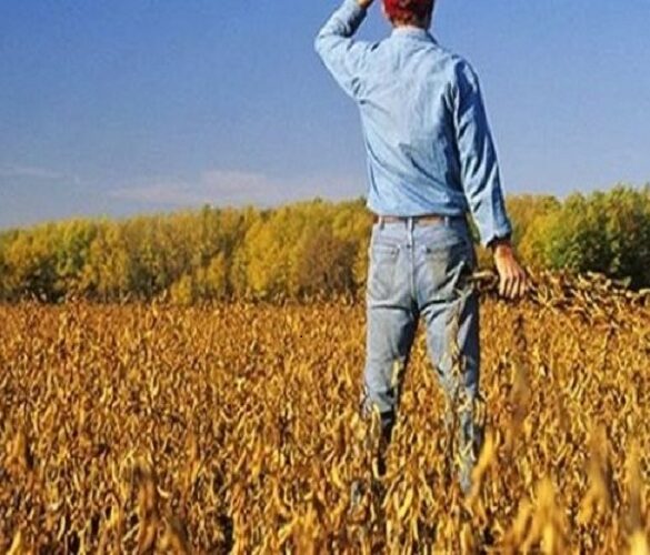 Πληρώθηκαν επιλαχόντες νέοι γεωργοί