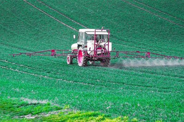 Σταμάτησε η χρήση δραστικών ουσιών chlorpyrifos/chlorpyrifos methyl