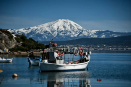 Πρόγραμμα 16 εκατ. ευρώ για αναβάθμιση της ελληνικής αλιείας