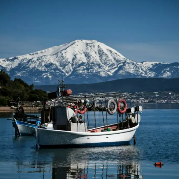 Πρόγραμμα 16 εκατ. ευρώ για αναβάθμιση της ελληνικής αλιείας