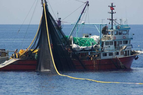 Θεσσαλία: Αιτήσεις για ενίσχυση πληγέντων αλιέων