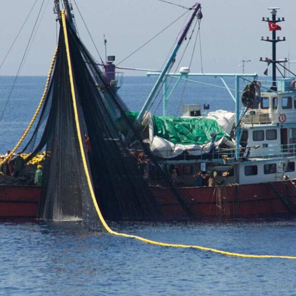 Θεσσαλία: Αιτήσεις για ενίσχυση πληγέντων αλιέων