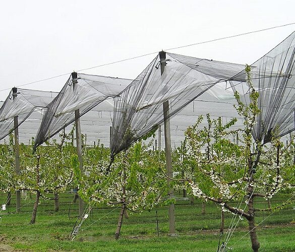 ΠΑΑ: Επενδύσεις για την ενεργητική προστασία από το χαλάζι