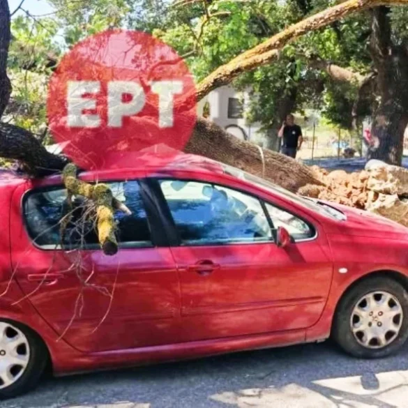 Δυτική Ελλάδα: Βελανιδιά καταπλάκωσε αυτοκίνητο σε αυλή σπιτιού